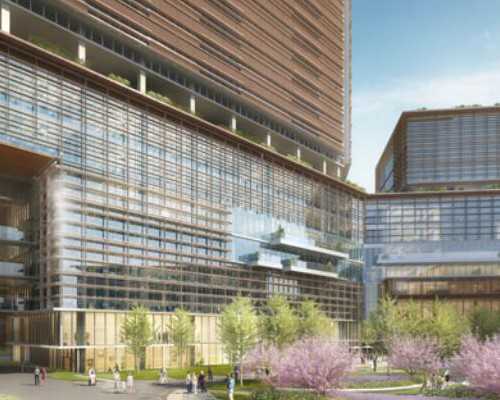 厦门卵泡不成熟能否进行试管助孕及提高成功率的方法